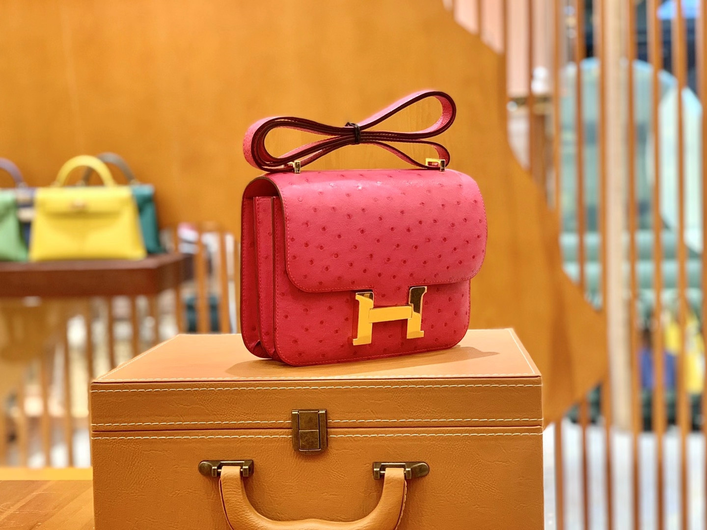 Hermès Constance